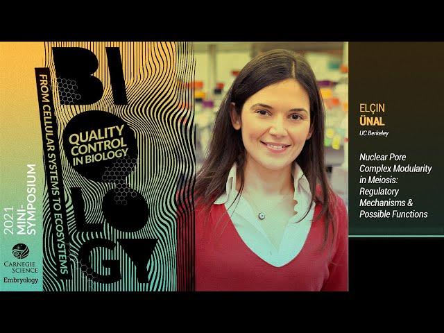 Dr. Elçin Ünal: Nuclear Pore Complex Modularity in Meiosis