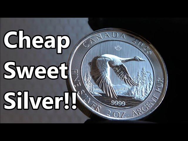 This Affordable Bullion Coin by The Canadian Mint Available At StoneX Is AWESOME!