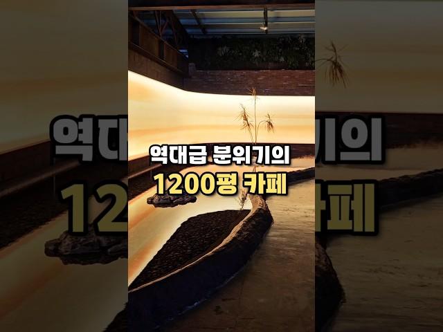 1200평 규모 인생 대형카페 발견탁트인 숲뷰에서 인생샷 무조건 가능한 곳