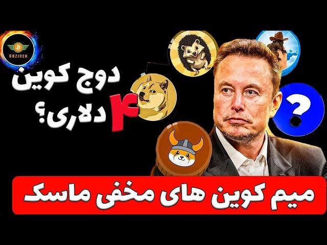 میم کوین های مخفی ایلان ماسک؟| دوج کوین ۴ دلاری؟