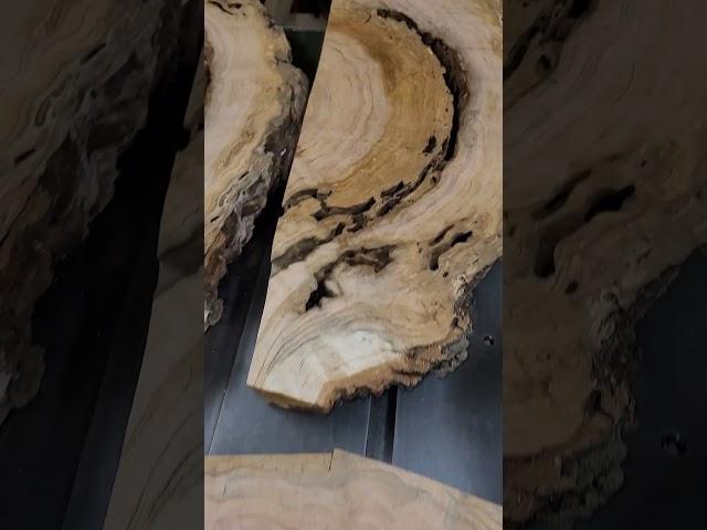 Future BADASS Black Cherry Burl Character Cues