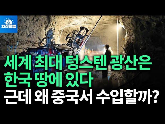 세계 최대 텅스텐 광산은 한국땅에 있다... 근데 왜 중국서 전량 수입할까? (박종훈의 지식한방)