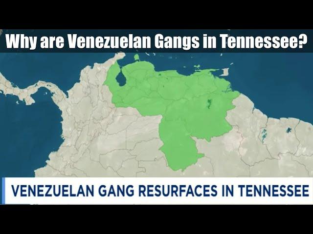 Why are Venezuelan Gangs All Over in Tennessee?