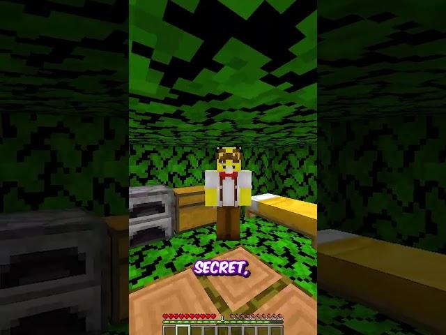 The Best Secret Base in Minecraft!  ️ #shorts