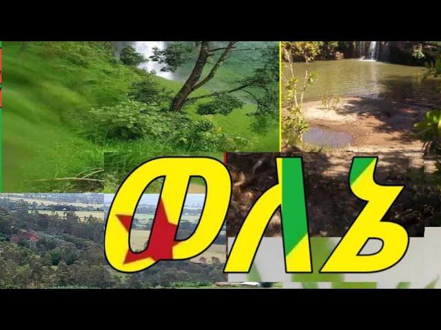 welene music  ወለንኛ የገግ ቃልኘ ለቻቻልነ