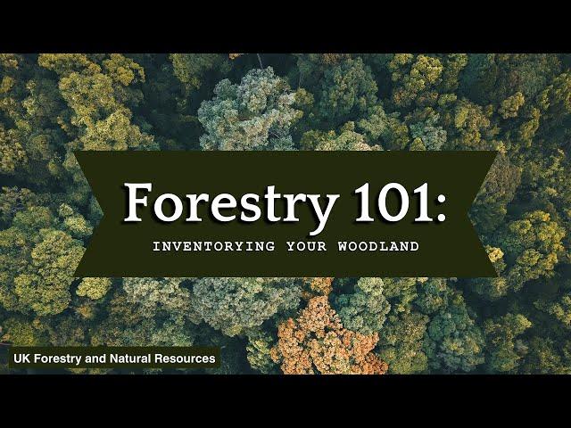 Forestry 101: Inventorying Your Woodland