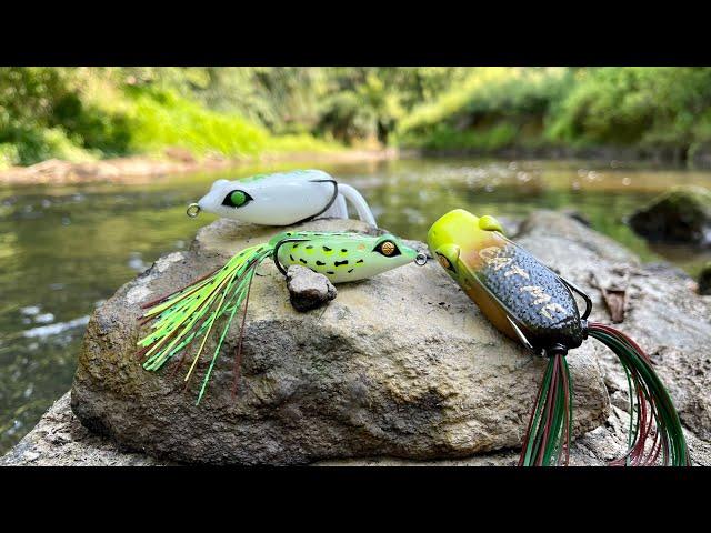 Topwater FROG FISHING is a BLAST!!! (INTENSE POND CHALLENGE)