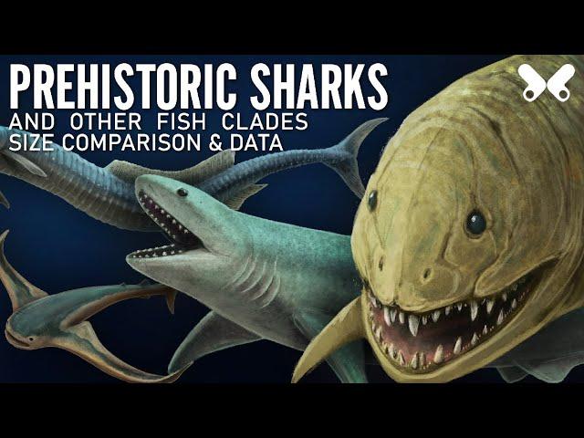 SHARKS and other PREHISTORIC FISH. size comparison and data