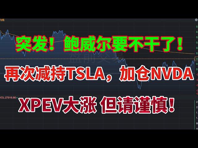 突发！鲍威尔要不干了！再次减持TSLA特斯拉，加仓NVDA英伟达，XPEV大涨，但请谨慎！#aapl #鲍威尔 #特斯拉