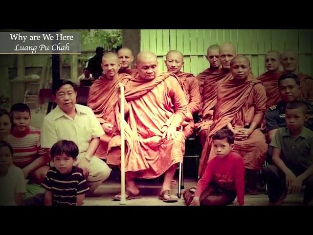 Why are We Here? | Ajahn Chah