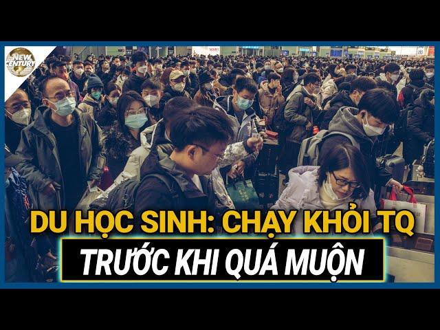 Đông Hoản kết thúc! Doanh nghiệp rời đi, nhà máy đóng cửa, cảnh tượng hoang tàn khắp nơi