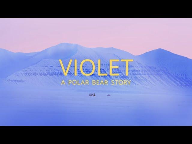 Violet: A Polar Bear Story