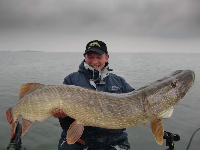 Record breaking Northern Pike Session. Struik-Rovers