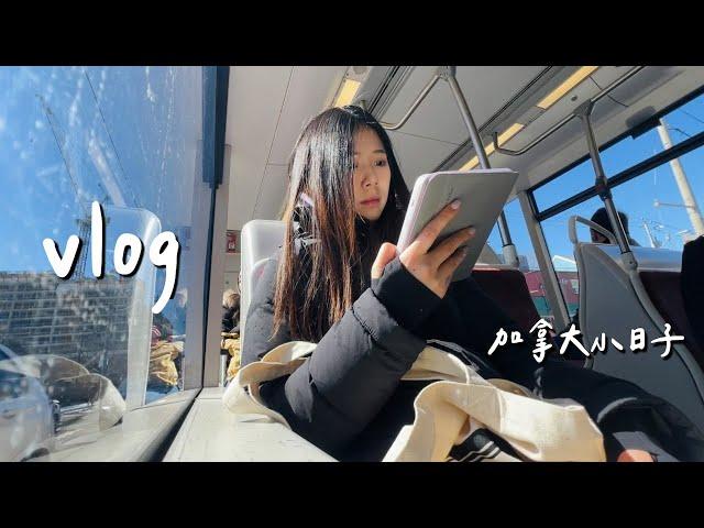 多倫多的生活vlog: 城市漫步、逛超市、煮台式牛肉麵