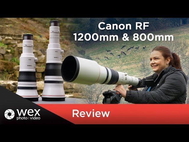 New Canon RF 1200mm and 800mm | First Look Review