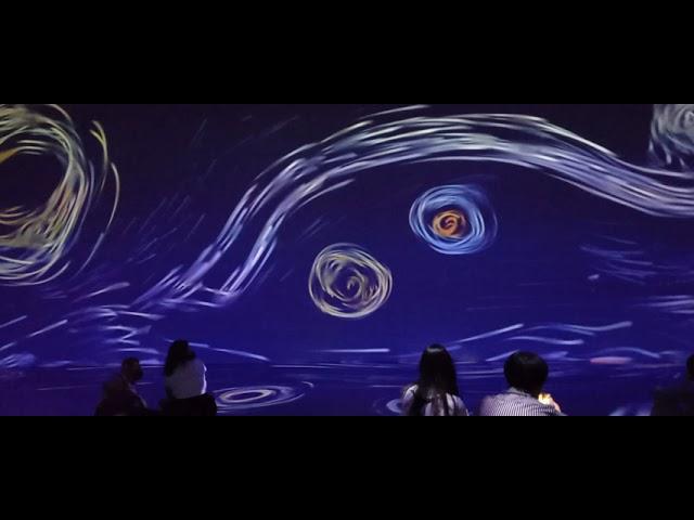 Immersed in Van Gogh