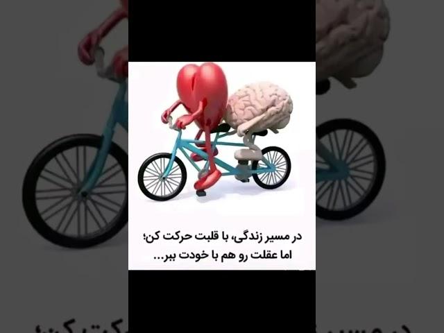 در مسیر زندگی با مغز و قلب تصمیم بگیر تا هر روزت موفق و موفق‌تر شوید