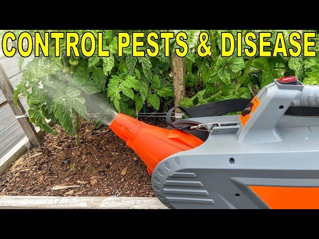 This AMAZING TOOL Is ELIMINATING My Garden Pests And Diseases