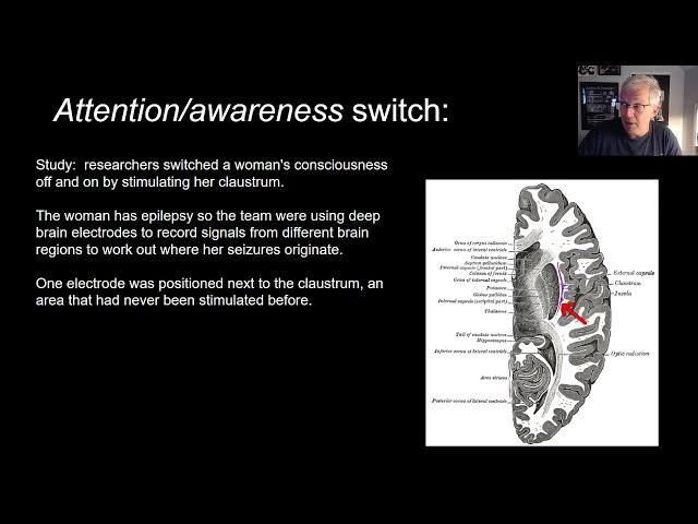 Consciousness, Divide and Conquer part 2
