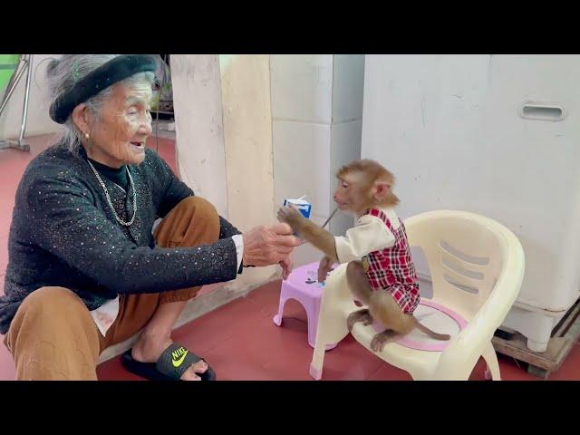 What happened during the days when PiPi Monkey and TiTi were apart?