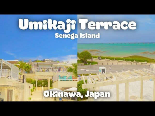 Umikaji Terrace Senegajima | Okinawa, Japan | Food | Travel | Guide | JAPAN Vlog