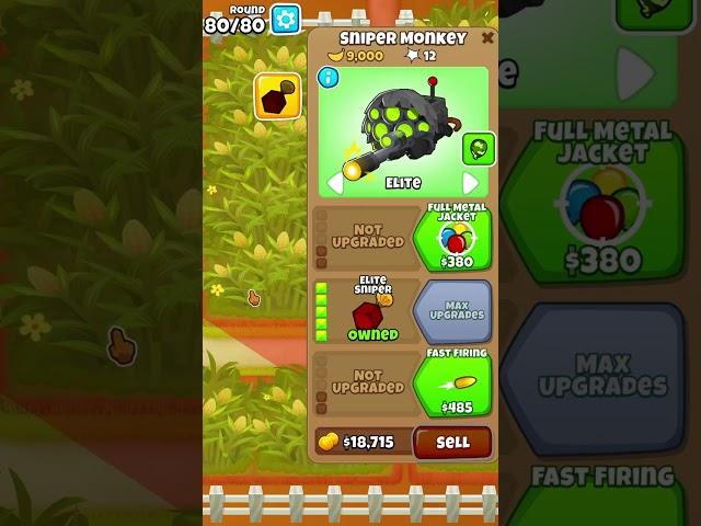 Cornucopia Corns