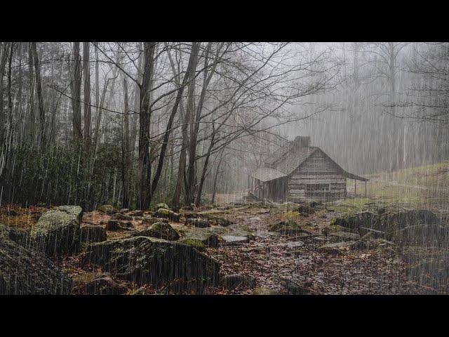 Relaxing Rain And Thunderstorm In Foggy Forest - Rain And Thunder Sounds For Sleep