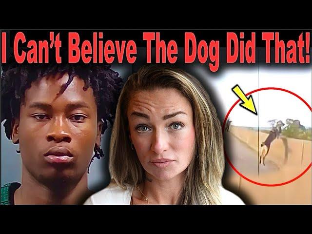 Teens, Murder, & a Very Brave K9 Officer | Shocking Bodycam Police  Footage Shows High Speed Chase