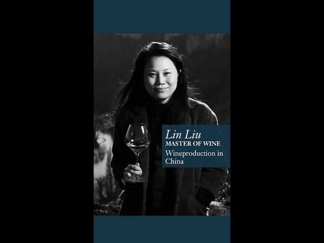 Lin Liu (Master of Wine) talkes about the Wine Production in China #schwander_weine