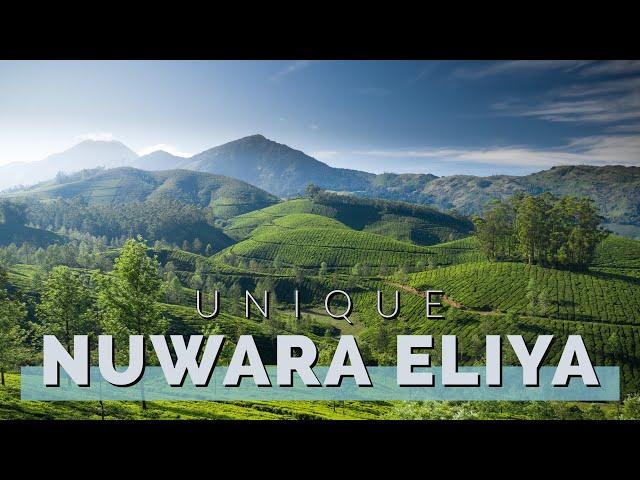 Nuwara Eliya | Sri Lanka | Travel Guide 