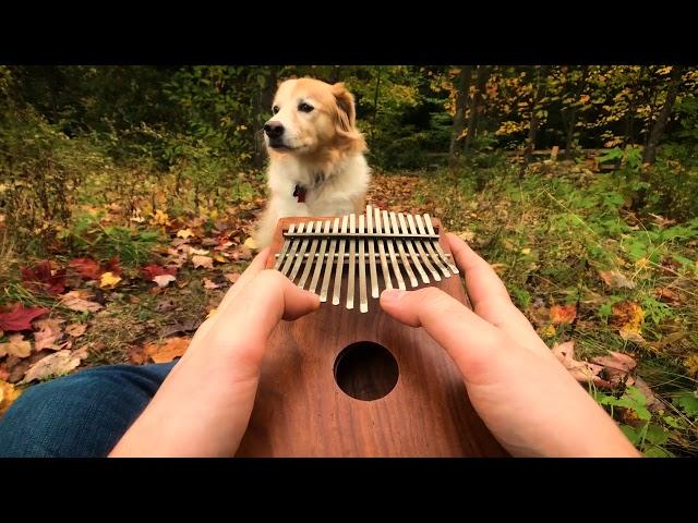 Can't Help Falling In Love on a Kalimba