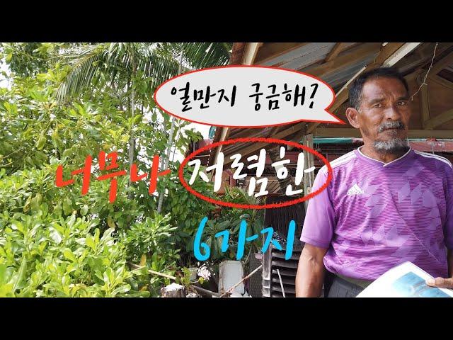 말레이시아 11년째 살면서 너무나 저렴한것 6가지.
