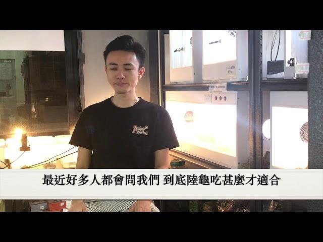 [AOG Channel] 新手必睇！陸龜食物小建議