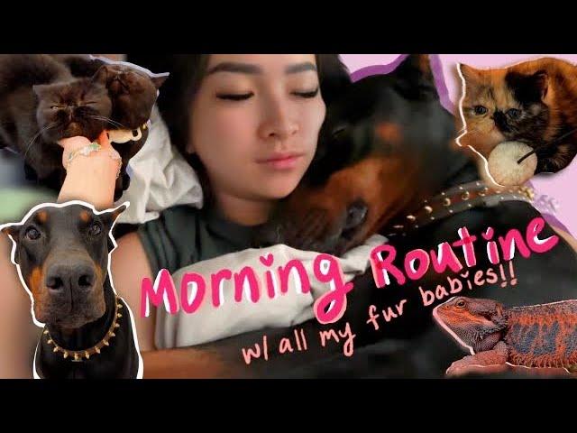 MORNING ROUTINE WITH MY DOBERMANS (AND MY 15+ PETS)