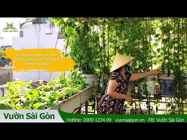 Cô Vỹ bón phân và phun thuốc gì mà vườn rau xanh mướt, trĩu quả?