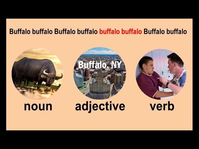 One-word Sentences: Buffalo buffalo Buffalo