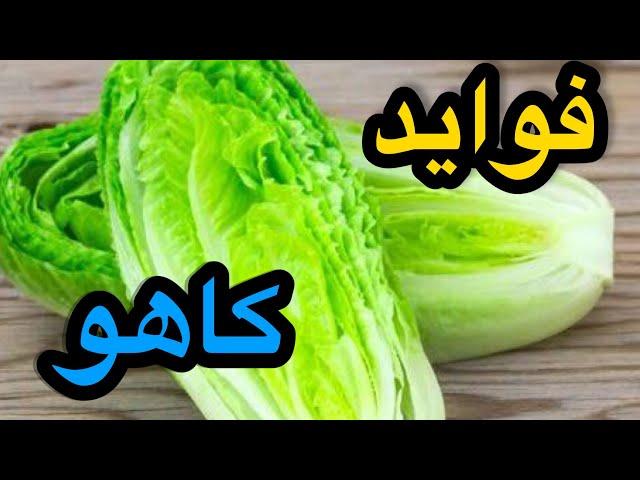 ۱۰ خواص کاهو برای سلامتی بدن