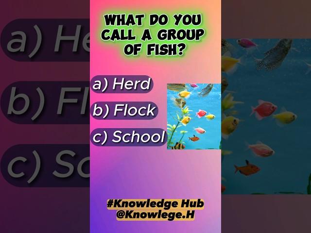 gk questions and answers | new gk updates | #067 | Knowledge Hub #shorts  @Knowledge.H ​#gk