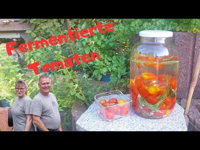 Fermentierten , Fermentierte Tomaten GESUND und LECKER