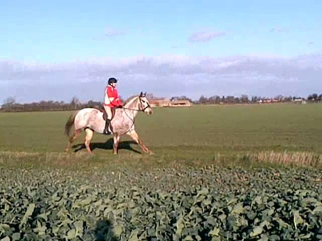 Izzie & Breeze XC