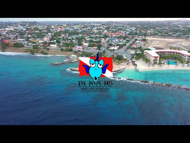 The Dive Bus Curacao Shore Diving Adventures | Dive Travel Curacao