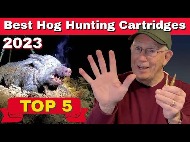 Top 5 Hog Hunting Cartridges | Best Calibers For Hogs