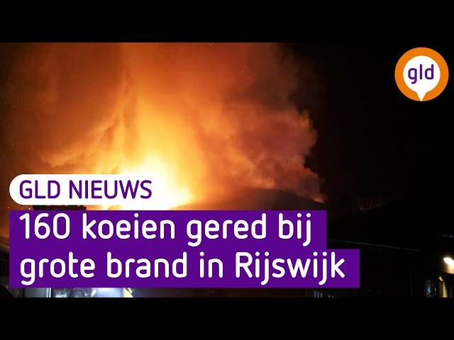 GLD Nieuws 2 december 2024