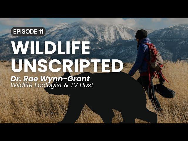 Ep 11 Dr Rae Wynn Grant - Wildlife Ecologist & TV Host