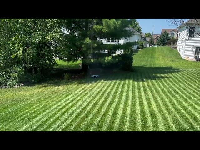 ANTHBOT Genie-- Your Lawn Care Specialist!