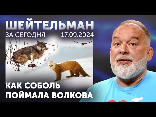 Как на роспропаганду попались Илон Маск, Тейлор-Грин, Латынина, Джей Ди Вэнс и многие из нас