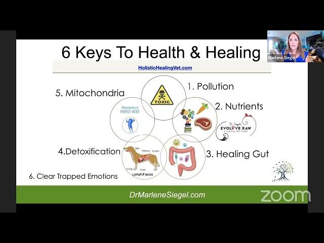 6 Steps to Healing with Dr Marlene Siegel and Poppy Phillips