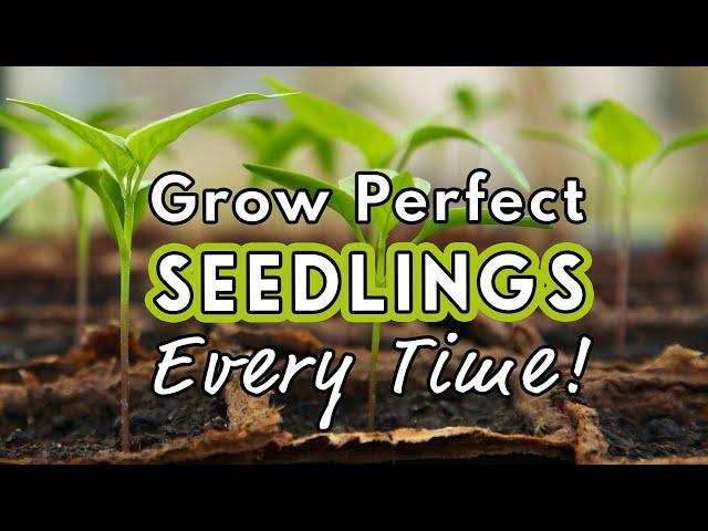 Seed Starting Success: Sow Like a Pro! 