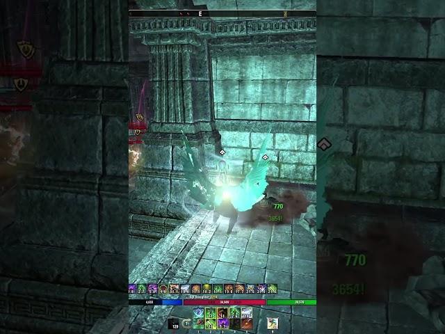 The Truth About the Warden in ESO PvP