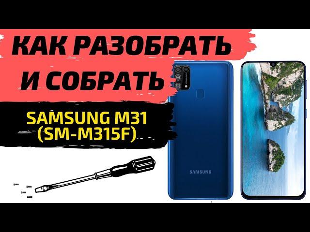 Как Разобрать и Собрать Samsung M31(РАЗБОРКА SM-M315F)